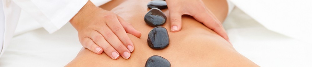 York Holistic Training